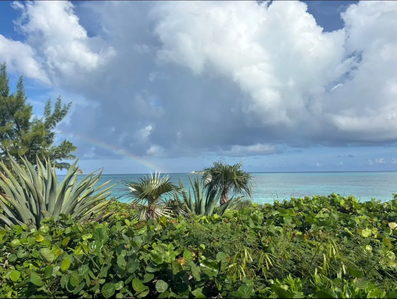 Ocean and island scenery in Eleuthera, The Bahamas